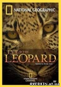 Глаз леопарда / Eye of the Leopard